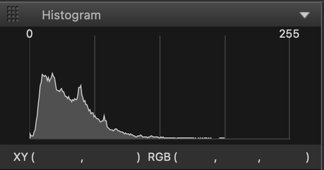 An Example of a Histogram Showing an Underexposed Image with Shadow Clipping